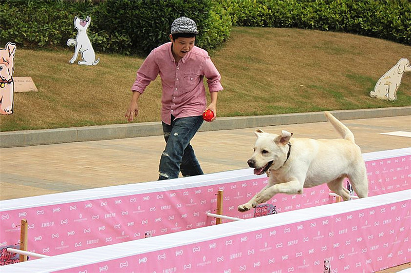 首页|k1体育十年品牌值得信任