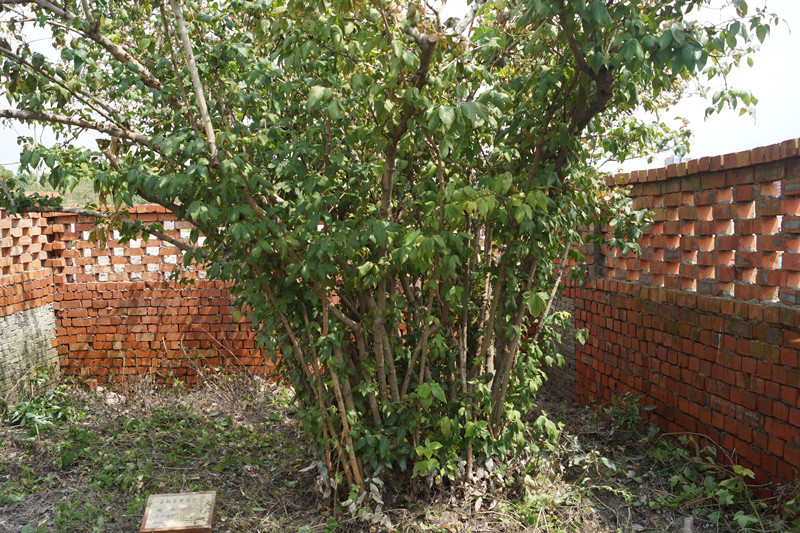 首页|k1体育十年品牌值得信任