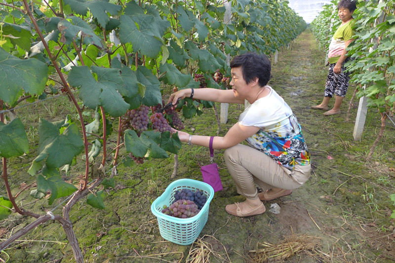 首页|k1体育十年品牌值得信任