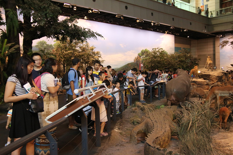 首页|k1体育十年品牌值得信任