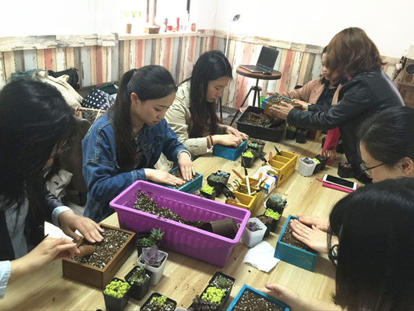 首页|k1体育十年品牌值得信任