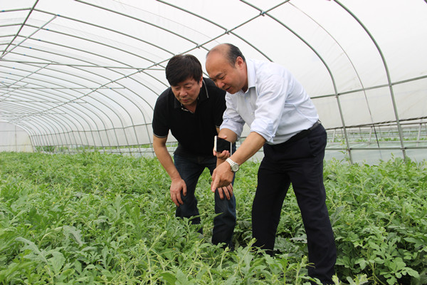 首页|k1体育十年品牌值得信任