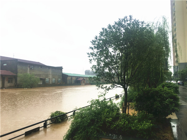 首页|k1体育十年品牌值得信任