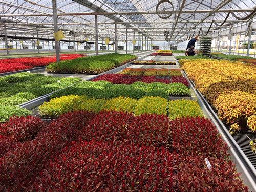 首页|k1体育十年品牌值得信任