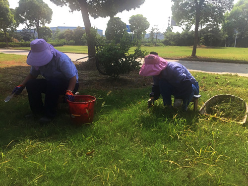 首页|k1体育十年品牌值得信任