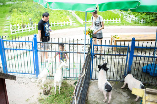 首页|k1体育十年品牌值得信任