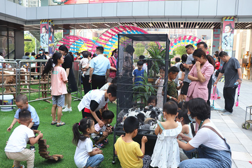 首页|k1体育十年品牌值得信任