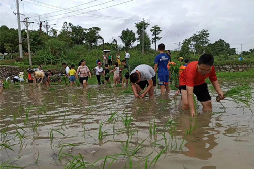 首页|k1体育十年品牌值得信任