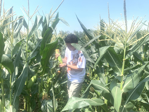 首页|k1体育十年品牌值得信任