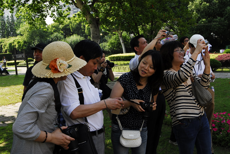 20120528164454258113