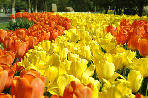 k1体育地产  筑亮新生涯