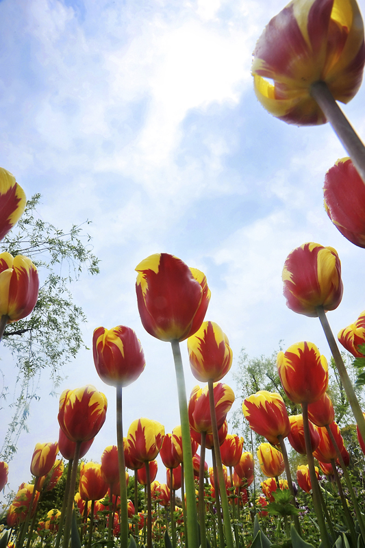 20120626102919416966