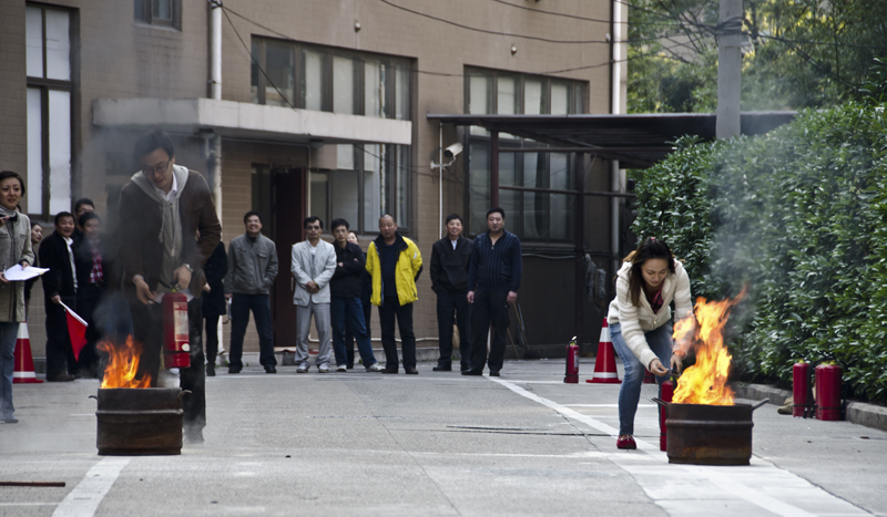 20121116133901333776