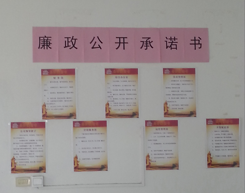 20130411101352242455