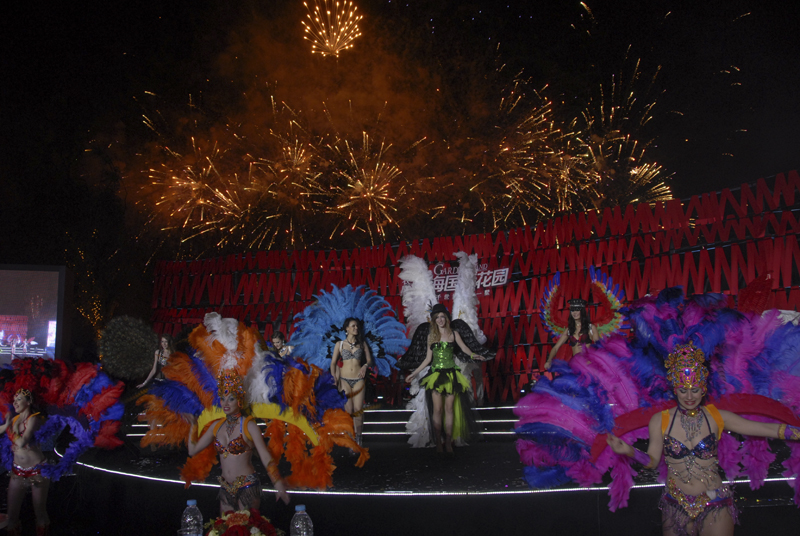 20130506112155445963