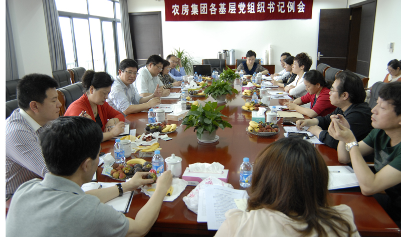 20130617110612355858