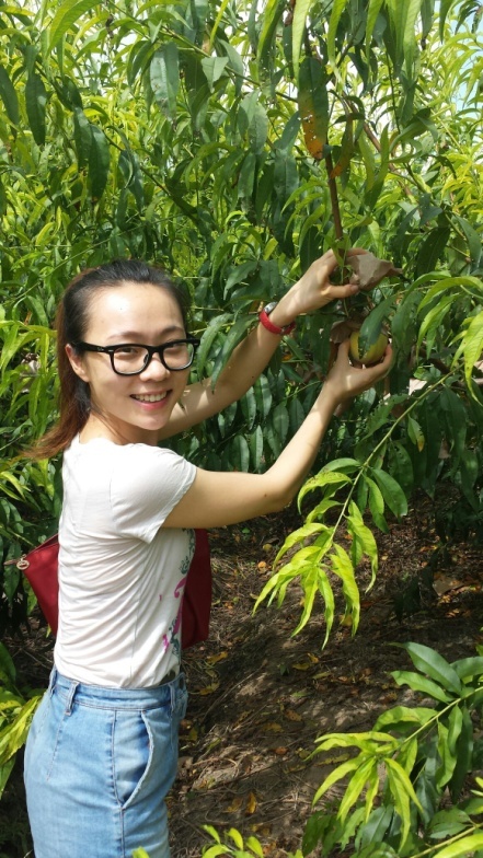 20130830110359207810