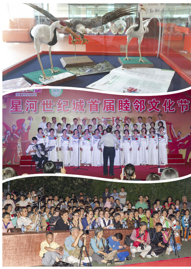 20131010102906660657