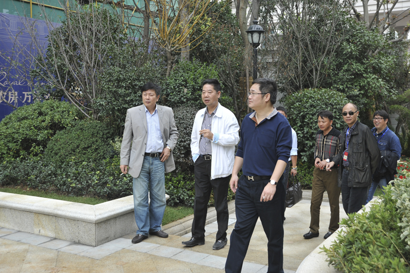 20131104103117513712