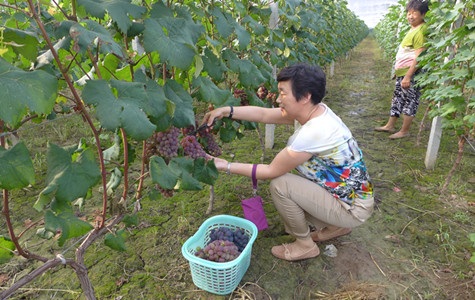 首页|k1体育十年品牌值得信任