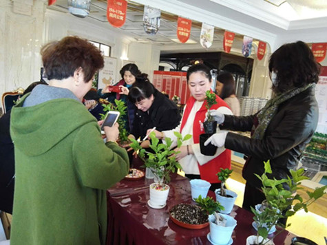 首页|k1体育十年品牌值得信任