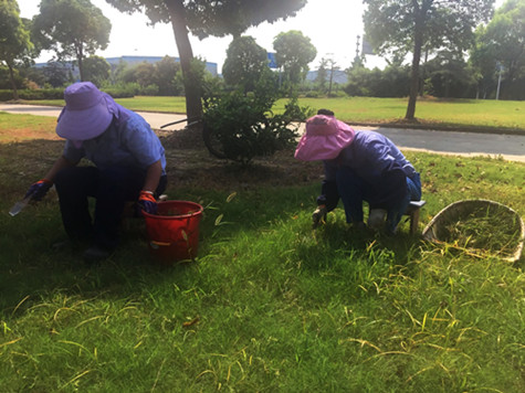 首页|k1体育十年品牌值得信任