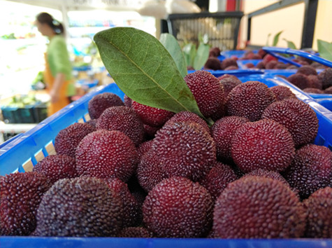 首页|k1体育十年品牌值得信任