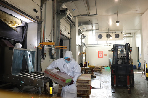 首页|k1体育十年品牌值得信任