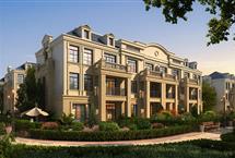 215X14520150202112228