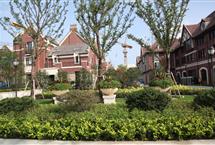 215X1452015020222311