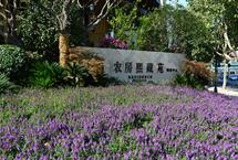 215X1452015020410424