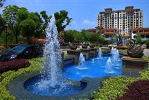 215X1452015020455049