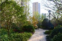 215X14520170420101737