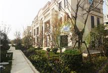 215X1452017042095054