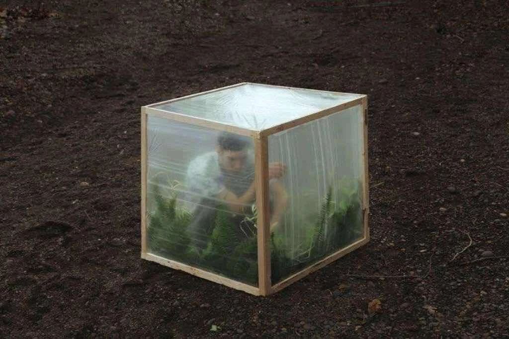 20240325172380008000.jpg